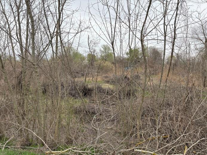 Actual photograph of the industrial park land plot in Rudnyky village, Lviv Region — greenfield ready for development